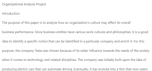 Organizational Analysis Project