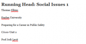 Running Head: Social Issues 1