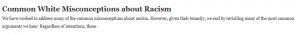Common White Misconceptions about Racism
