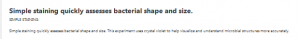 Simple staining quickly assesses bacterial shape and size.