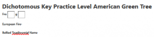 Dichotomous Key Practice Level American Green Tree