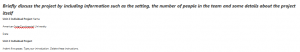 Briefly discuss the project by including information such as the setting, the number of people in the team and some details about the project itself
