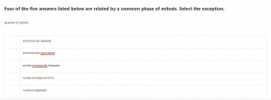 Four of the five answers listed below are related by a common phase of mitosis. Select the exception.