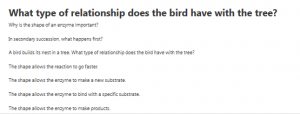 What type of relationship does the bird have with the tree?