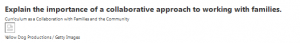 Explain the importance of a collaborative approach to working with families.