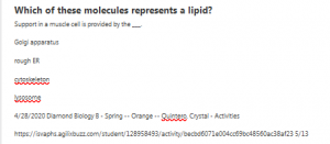 Which of these molecules represents a lipid?