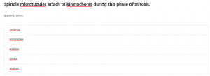 Spindle microtubules attach to kinetochores during this phase of mitosis.