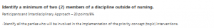 Identify a minimum of two (2) members of a discipline outside of nursing.