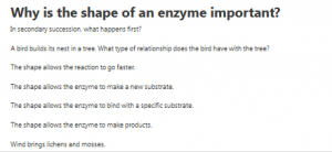 Why is the shape of an enzyme important?