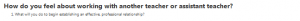 How do you feel about working with another teacher or assistant teacher?