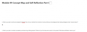 Module 09 Concept Map and Self-Reflection Part I 