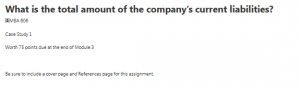 What is the total amount of the companys current liabilities?