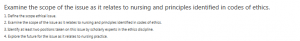 Examine the scope of the issue as it relates to nursing and principles identified in codes of ethics.