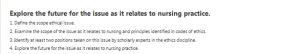 Explore the future for the issue as it relates to nursing practice.