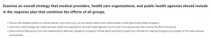 Examine an overall strategy that medical providers, health care organizations, and public health agencies should include in the response plan that combines the efforts of all groups.