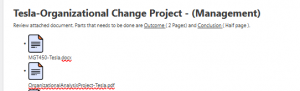 Tesla-Organizational Change Project - (Management) 