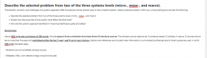 Describe the selected problem from two of the three systems levels (micro-, meso-, and macro).