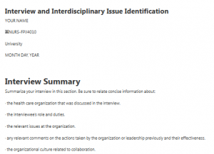 Interview and Interdisciplinary Issue Identification