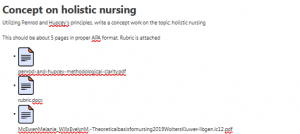 Concept on holistic nursing