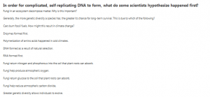 In order for complicated, self-replicating DNA to form, what do some scientists hypothesize happened first?