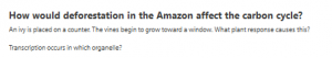 How would deforestation in the Amazon affect the carbon cycle?