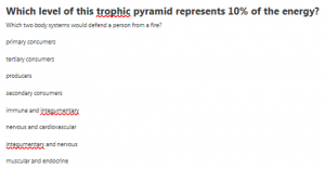 Which level of this trophic pyramid represents 10% of the energy?