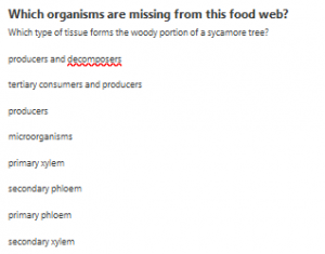 Which organisms are missing from this food web?