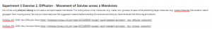 Experiment 3 Exercise 1: Diffusion - Movement of Solutes across a Membrane