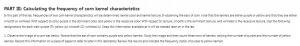 PART III: Calculating the frequency of corn kernel characteristics