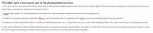 The Calvin cycle is the second part of the photosynthesis reaction