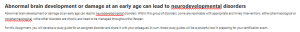 Abnormal brain development or damage at an early age can lead to neurodevelopmental disorders