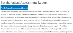 Psychological Assessment Report