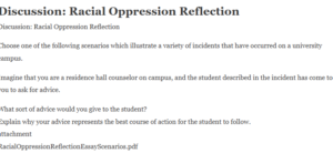 Discussion: Racial Oppression Reflection